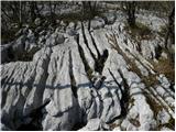 Divje jezero - Zagrebenc